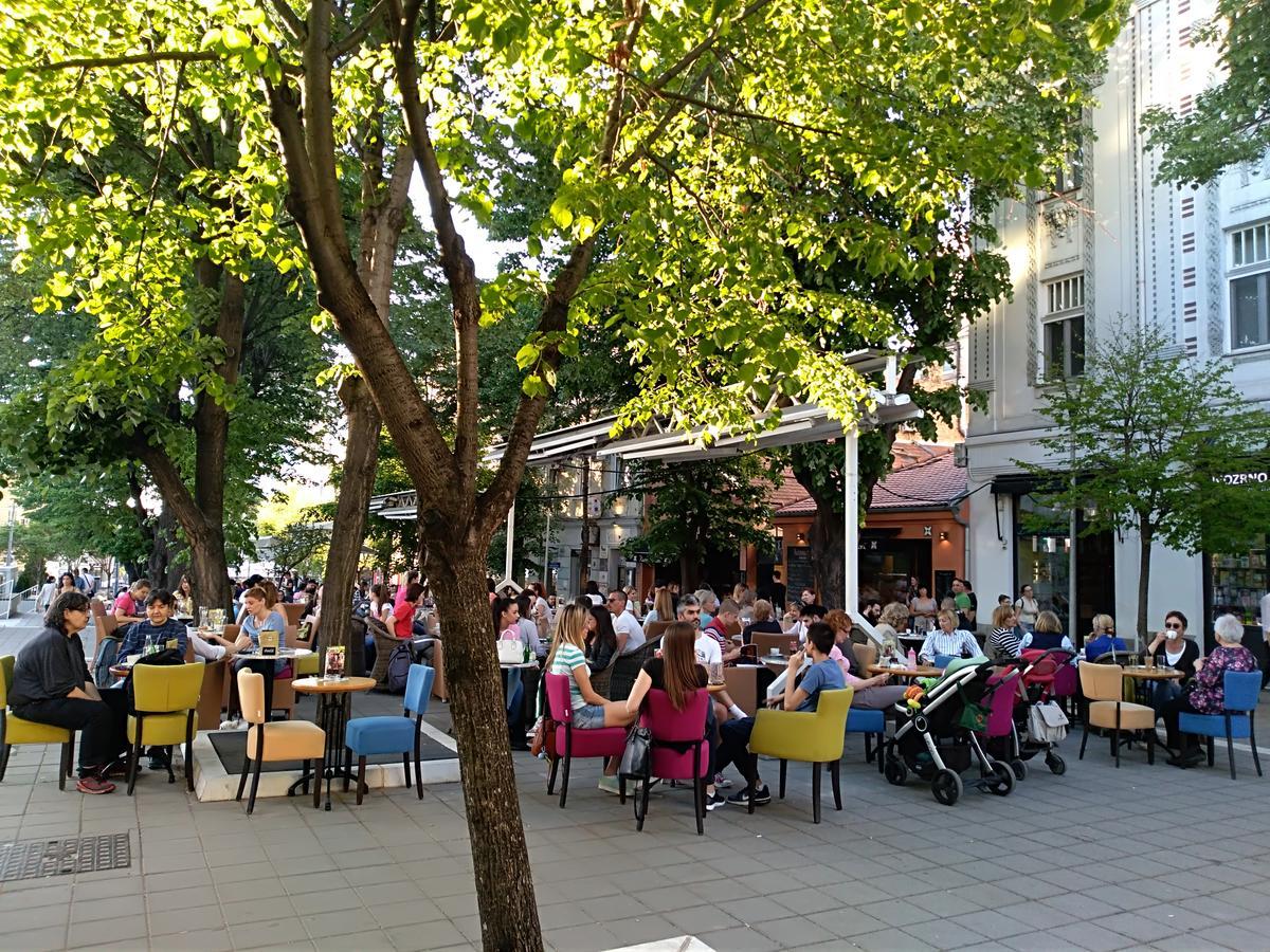 Apartment Lovac Belgrad Zewnętrze zdjęcie